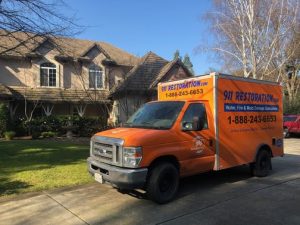 Mold Removal Sacramento